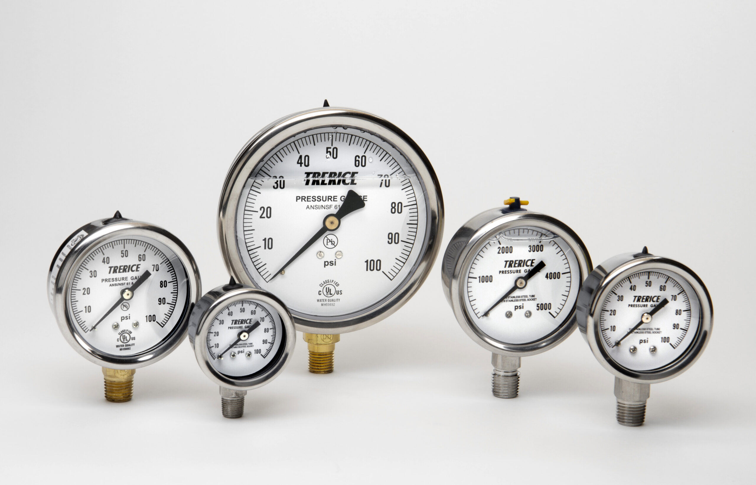 D80 Series Gauges